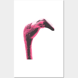 Funny Flamingo Posters and Art